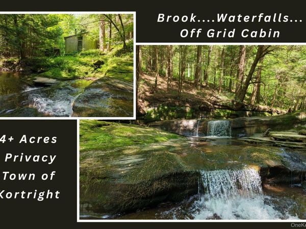 Lot 35 Webster Brook Road , Bloomville, NY 13842