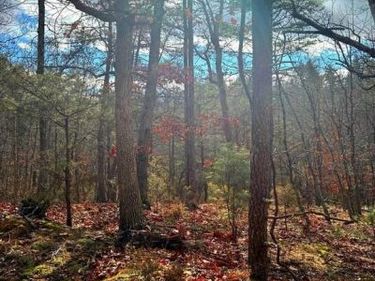 0 KING STREET, BASYE, VA 22810