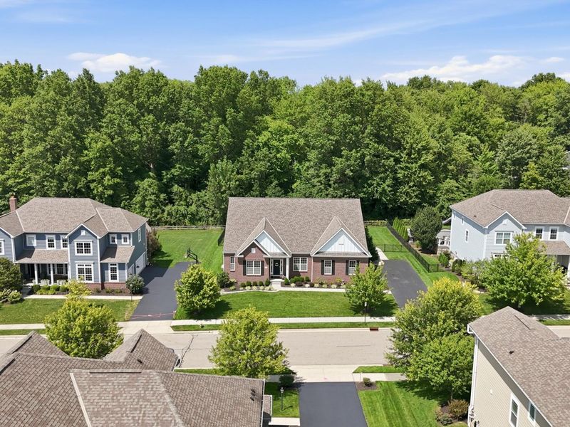 8418 Holmesdale Place, New Albany, OH 43054 Photo 41