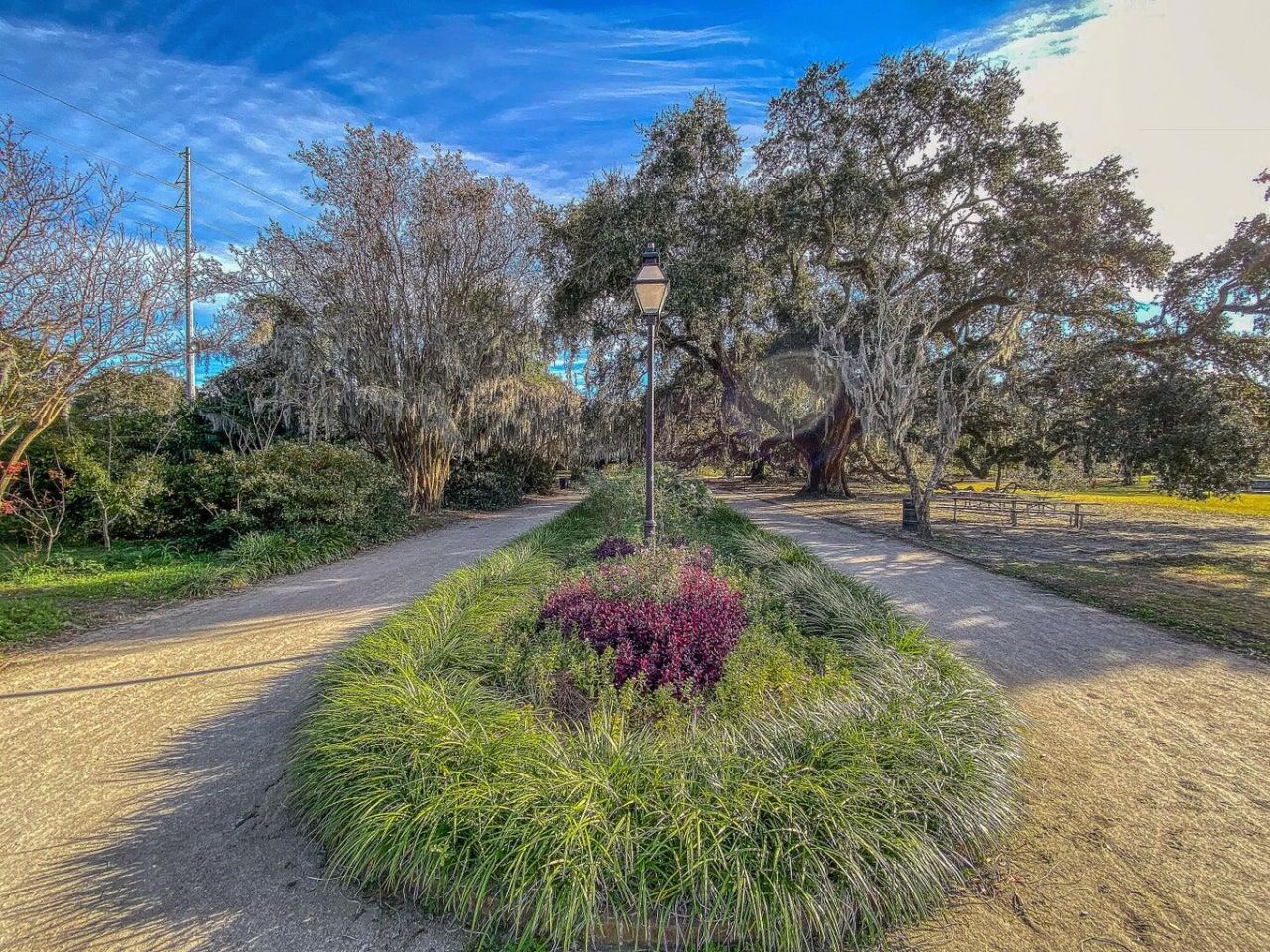 3 Strawberry Lane Photo 25
