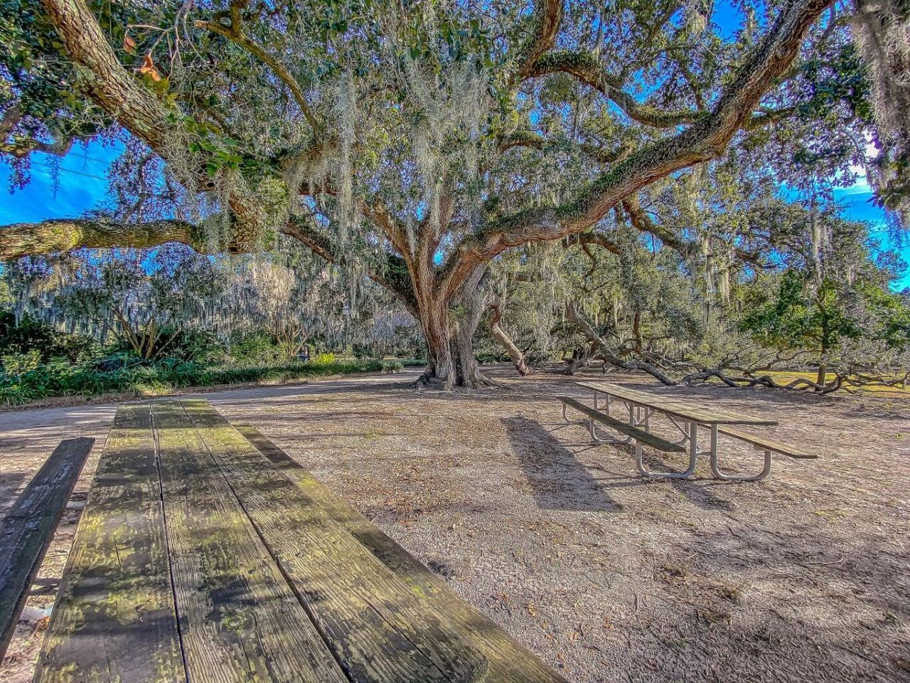3 Strawberry Lane Photo 26