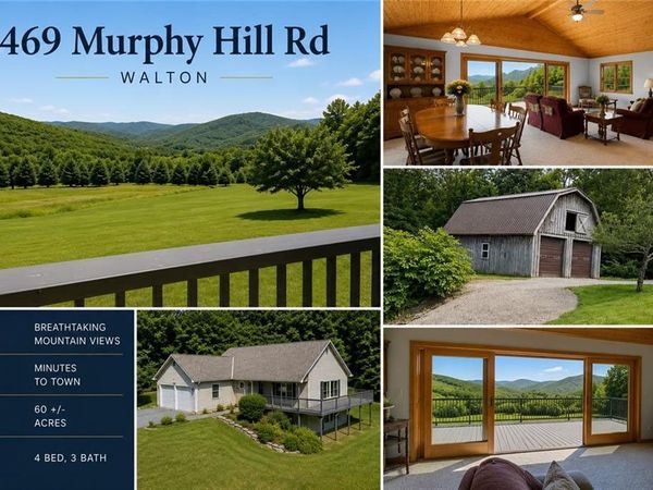 469 Murphy Hill Road, Walton, NY 13856