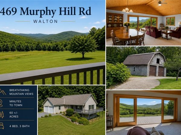 469 Murphy Hill Road, Walton, NY 13856
