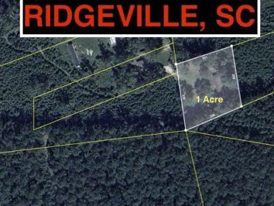 217 Joe Felder Road, Ridgeville, SC 29472
