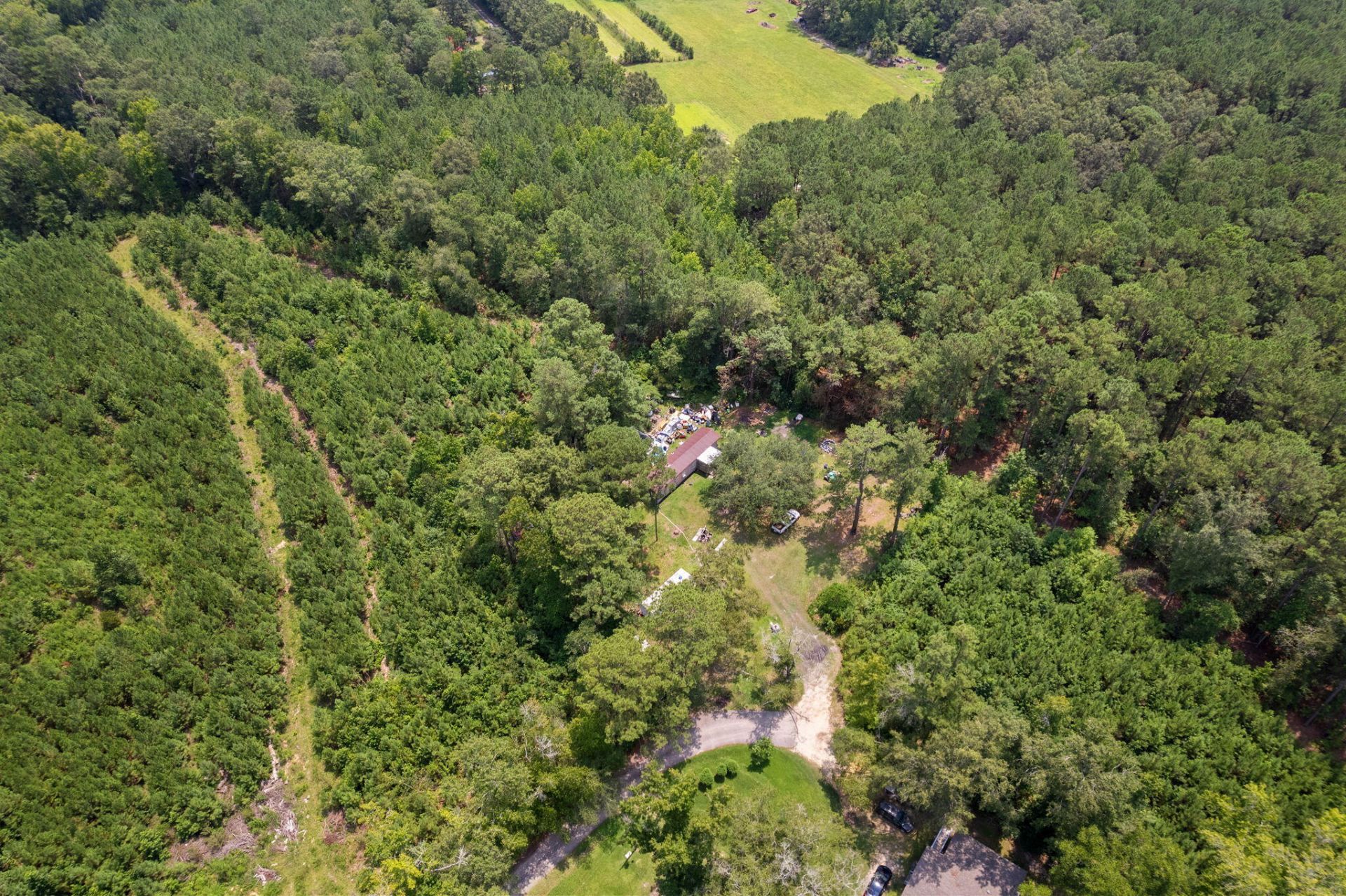 217 Joe Felder Road Photo 10