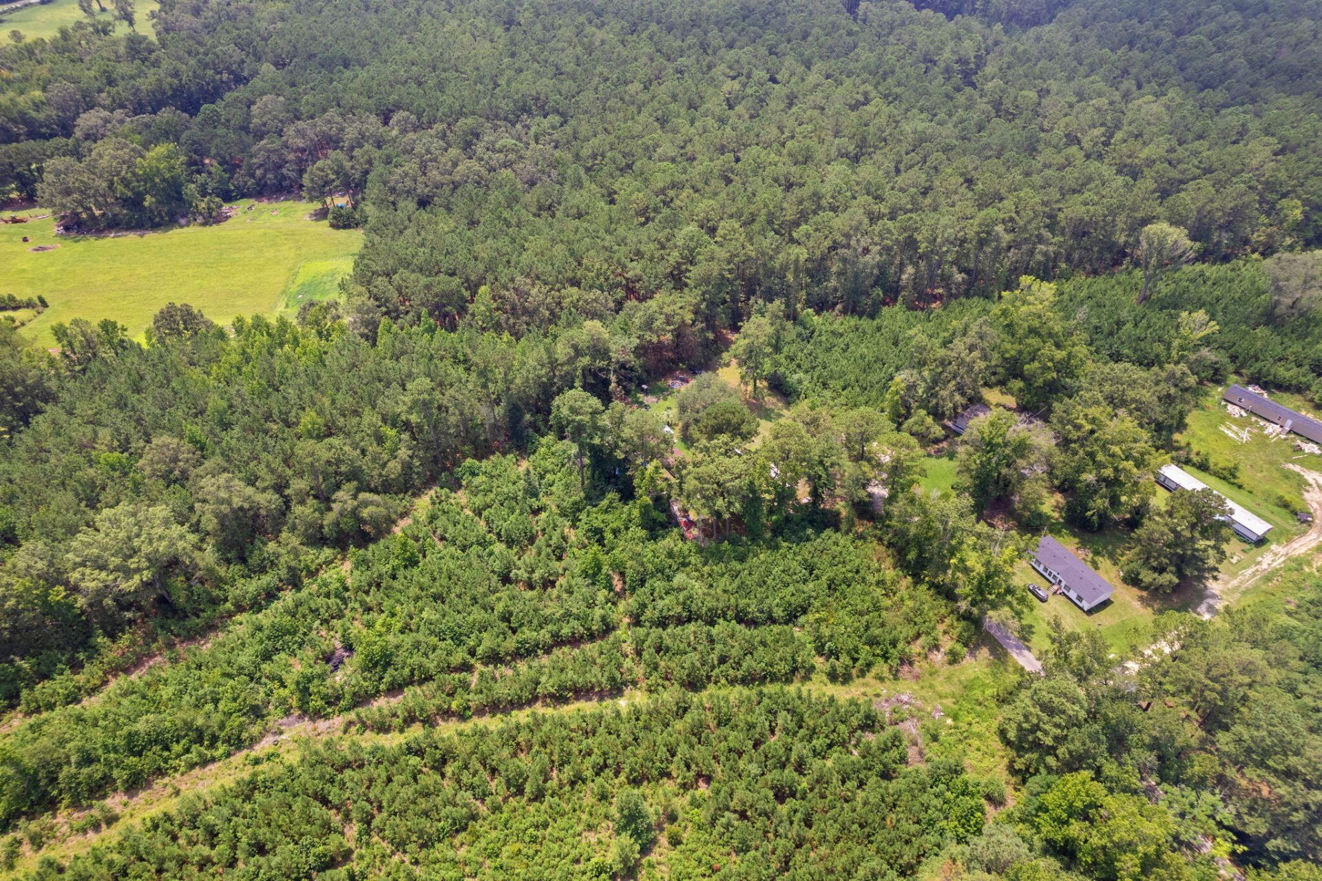 217 Joe Felder Road Photo 11