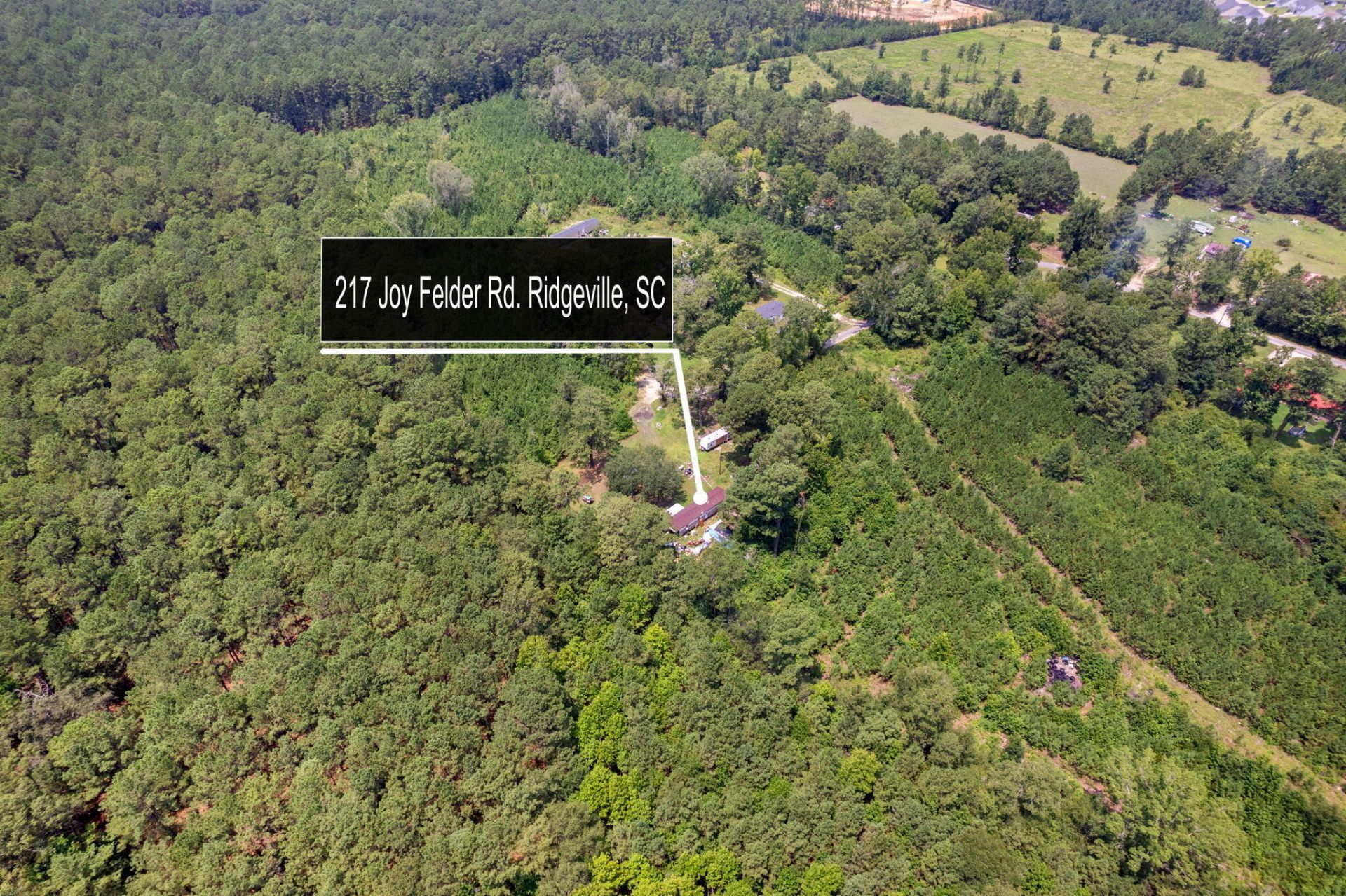 217 Joe Felder Road Photo 12
