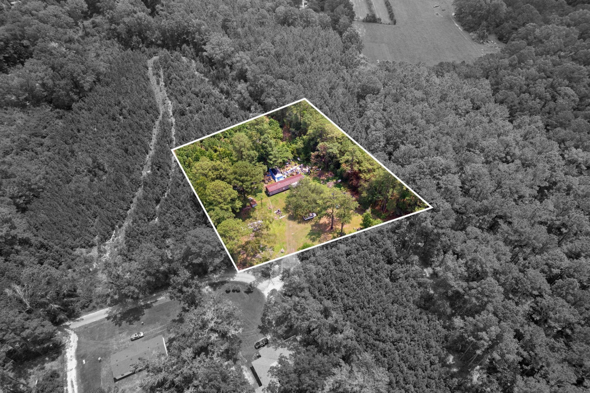 217 Joe Felder Road Photo 4