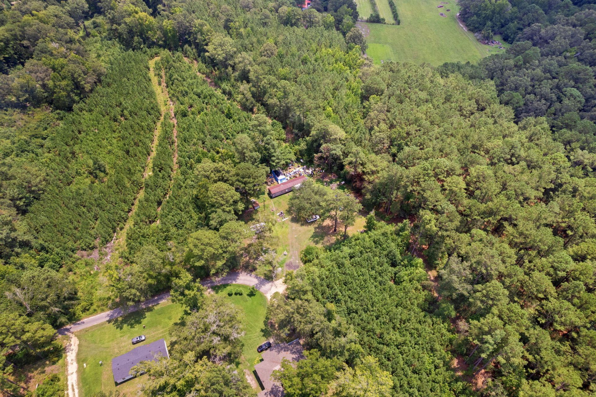 217 Joe Felder Road Photo 5