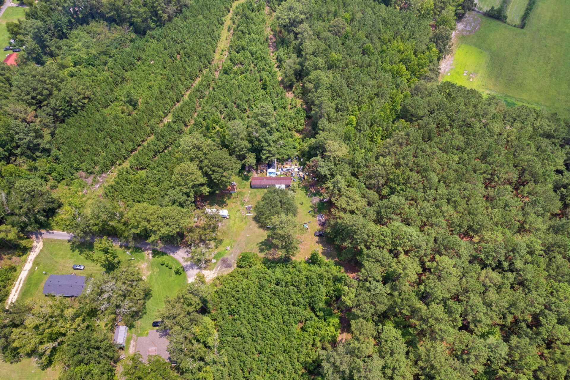 217 Joe Felder Road Photo 6