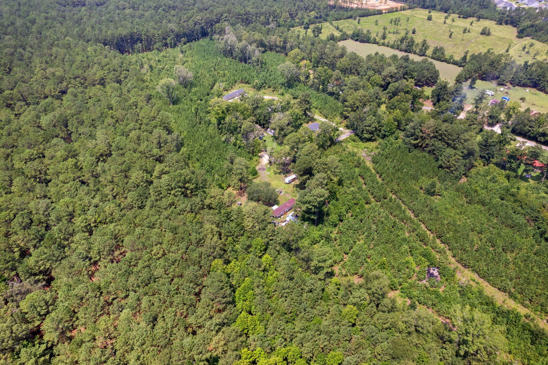 217 Joe Felder Road Photo 7