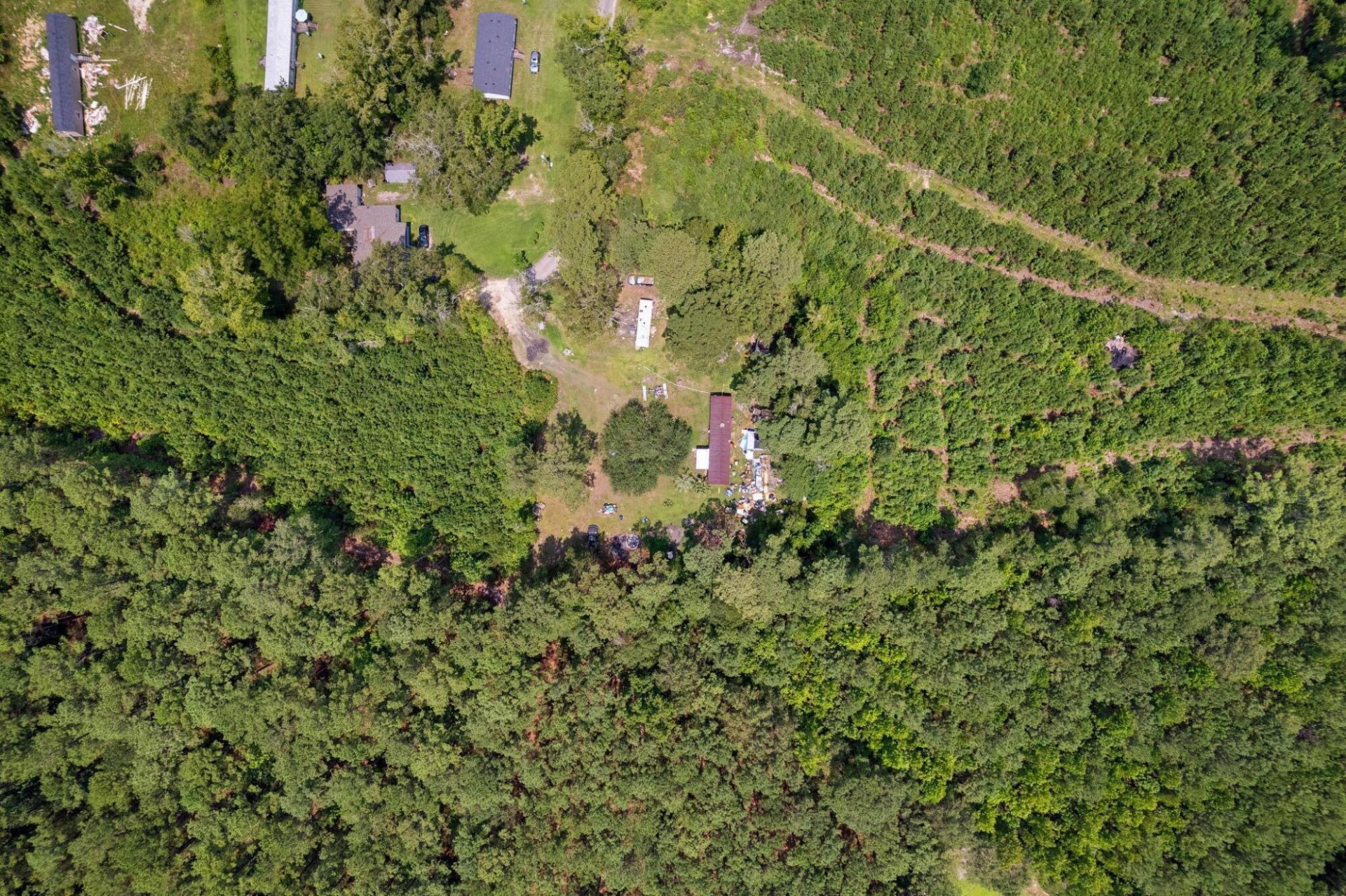 217 Joe Felder Road Photo 8