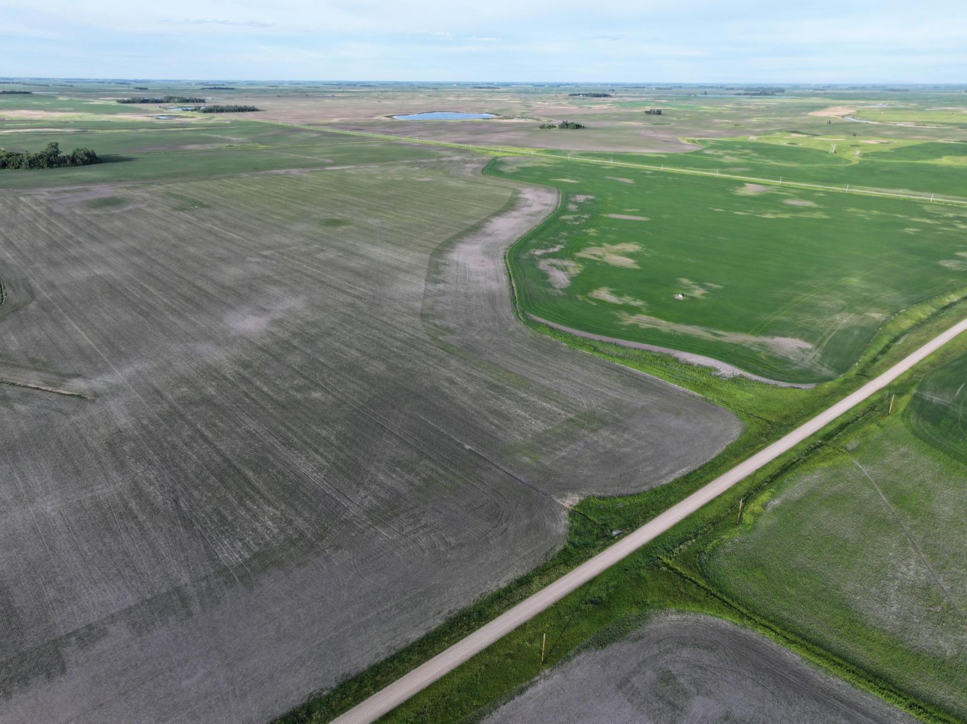 Tbd Co Rd 11, Sanborn, ND 58072 Main Photo