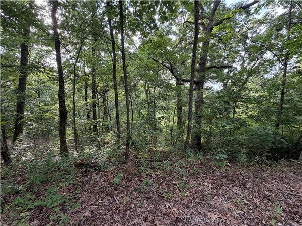 Circle Drive, Huntsville, AR 72740