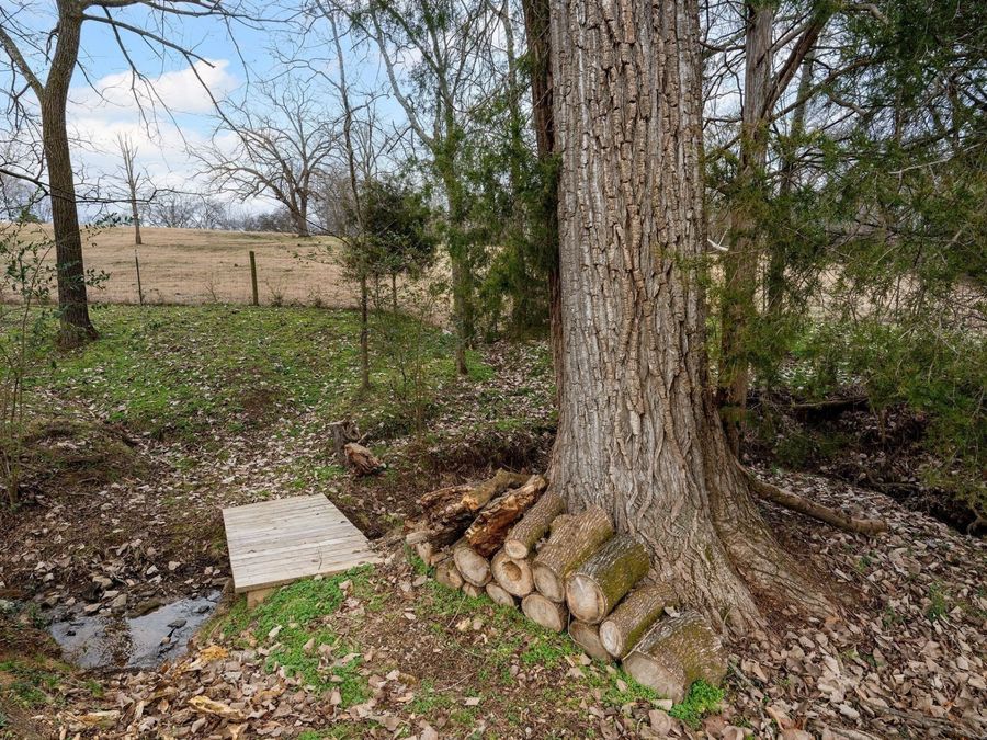 Property Image 67