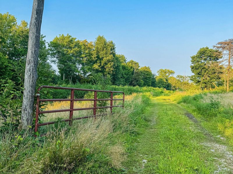 1136 Jefferson Furnace Road , Oak Hill, OH 45656 Photo 5
