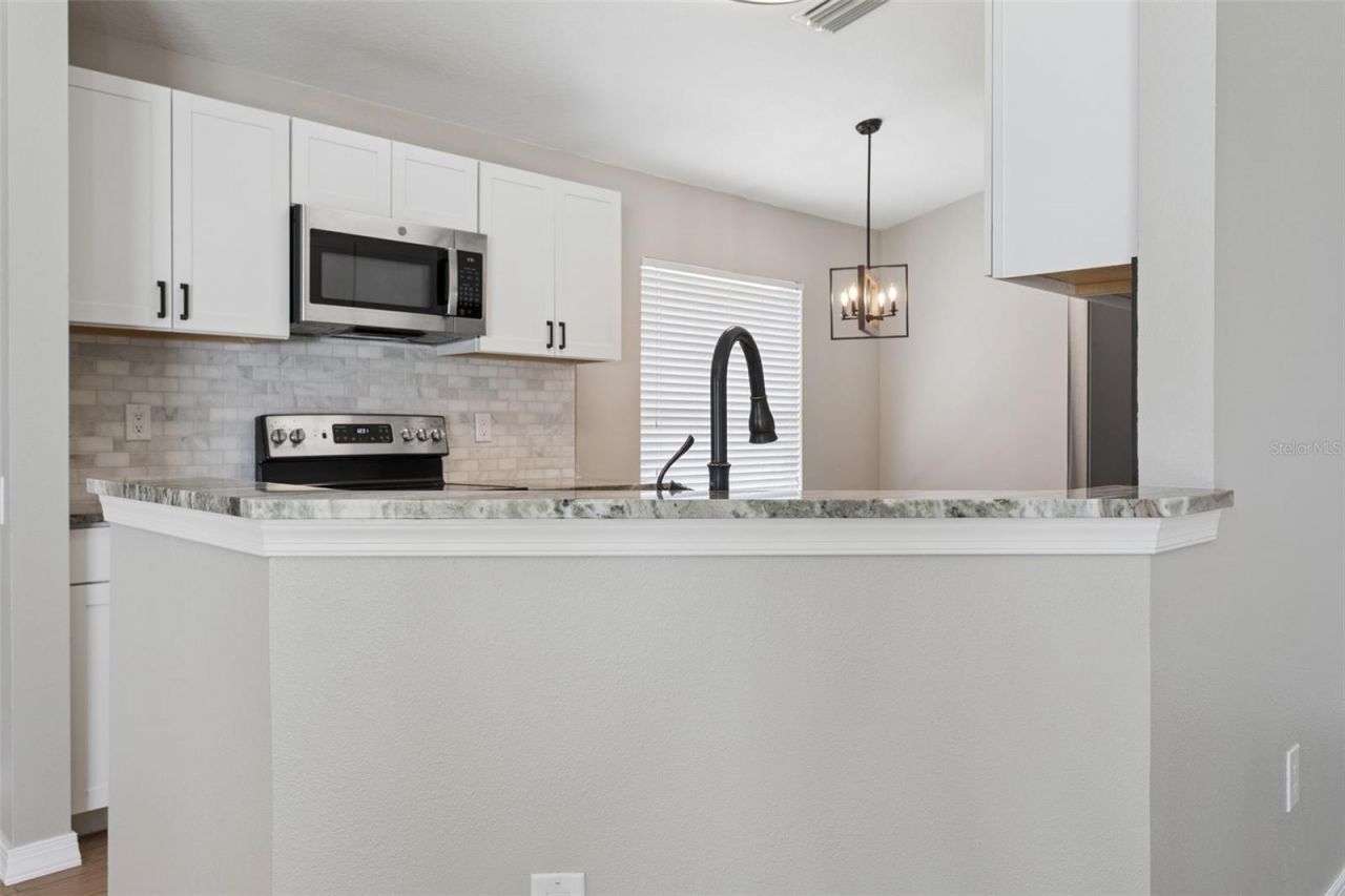 26923 Affirmed Drive , Wesley Chapel, FL 33544 Photo