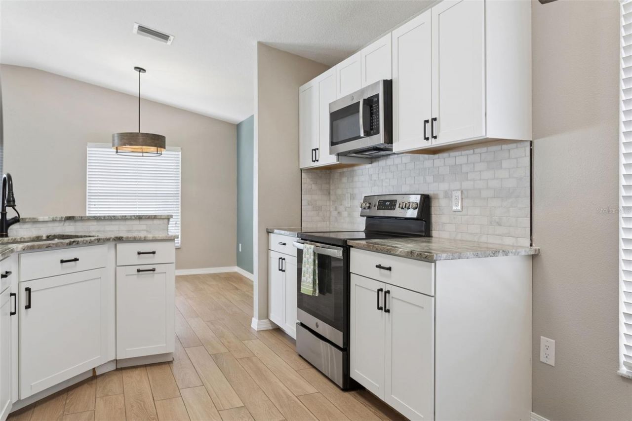26923 Affirmed Drive , Wesley Chapel, FL 33544 Photo