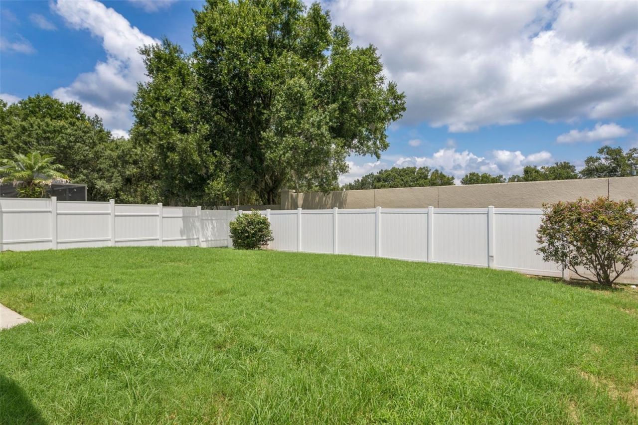 26923 Affirmed Drive , Wesley Chapel, FL 33544 Photo