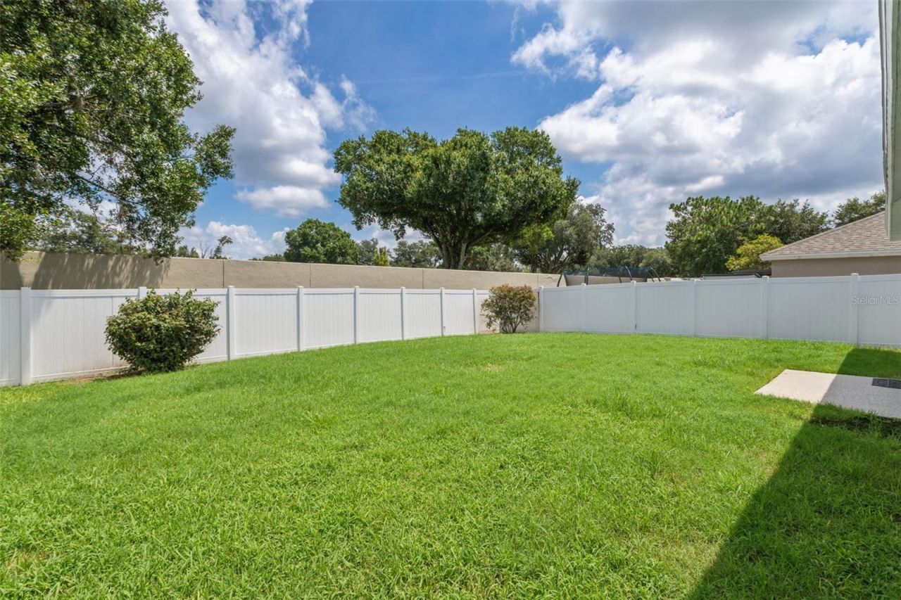 26923 Affirmed Drive , Wesley Chapel, FL 33544 Photo