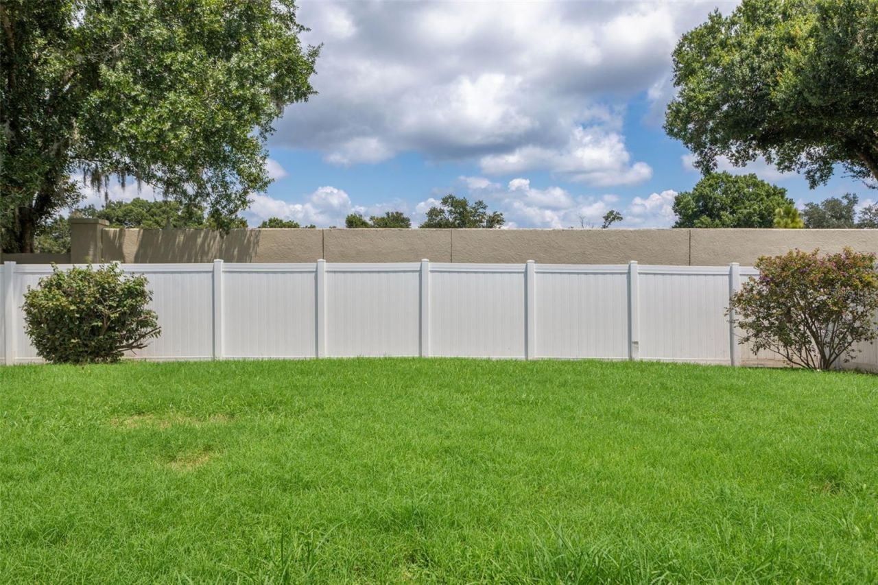 26923 Affirmed Drive , Wesley Chapel, FL 33544 Photo