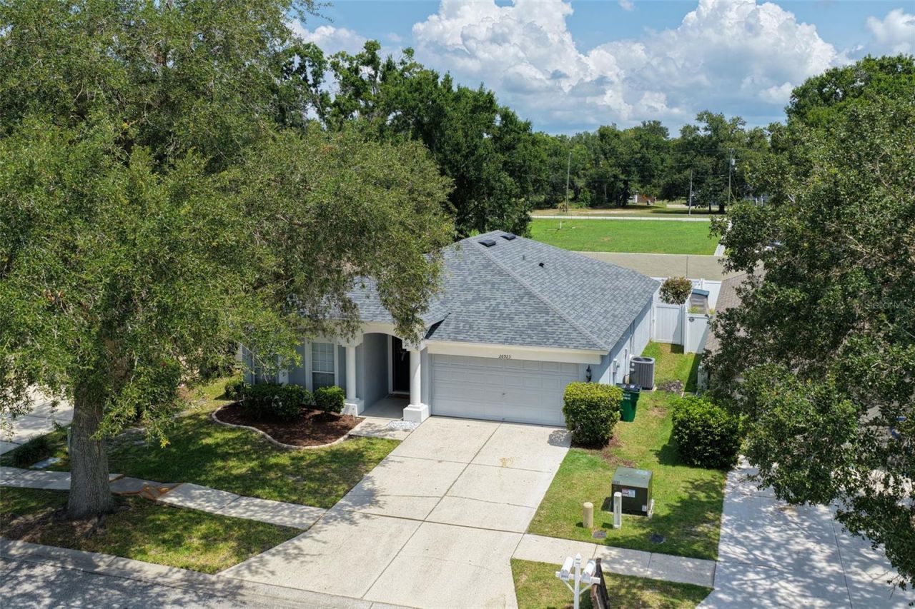 26923 Affirmed Drive , Wesley Chapel, FL 33544 Photo
