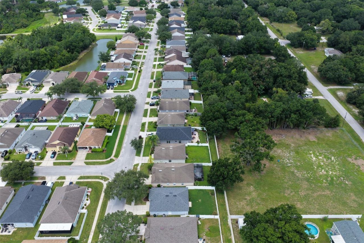 26923 Affirmed Drive , Wesley Chapel, FL 33544 Photo