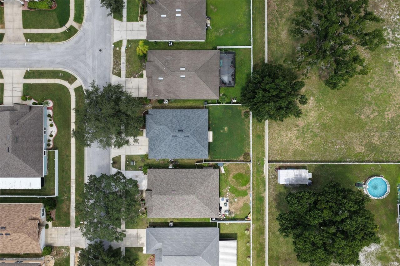 26923 Affirmed Drive , Wesley Chapel, FL 33544 Photo