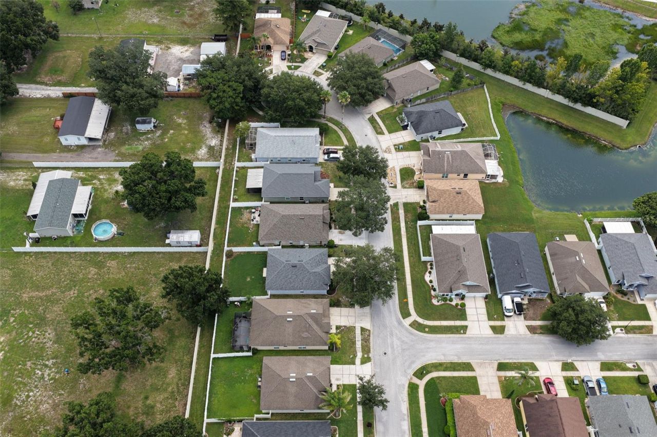 26923 Affirmed Drive , Wesley Chapel, FL 33544 Photo