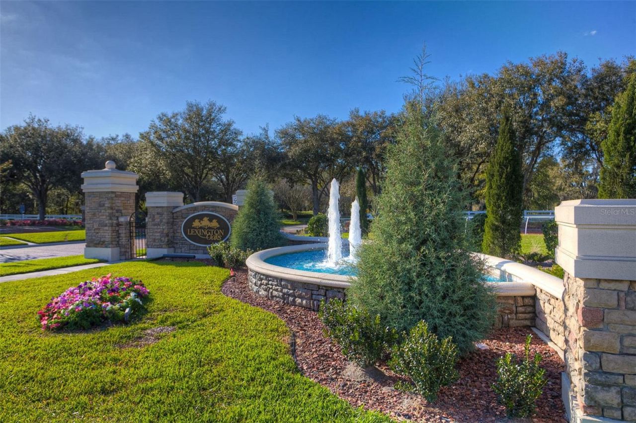 26923 Affirmed Drive , Wesley Chapel, FL 33544 Photo