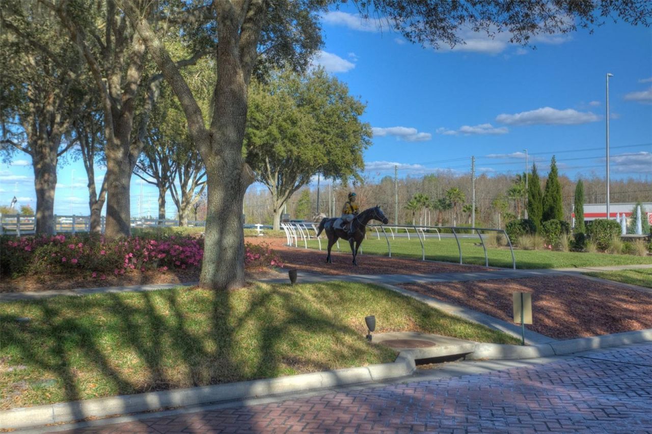 26923 Affirmed Drive , Wesley Chapel, FL 33544 Photo