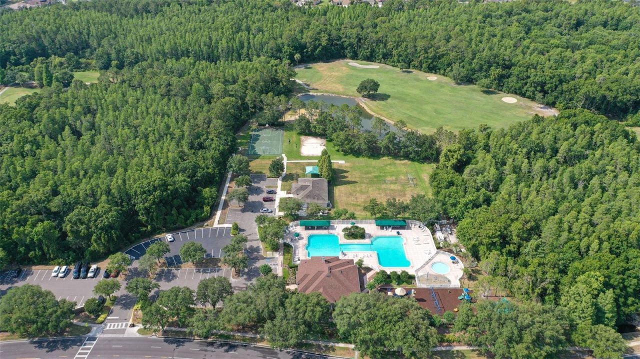 26923 Affirmed Drive , Wesley Chapel, FL 33544 Photo