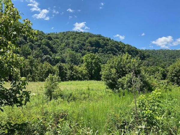 029.03 Hatfield Road, Tazewell, TN 37879