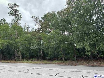 Hwy 151, Hartsville, SC 29550