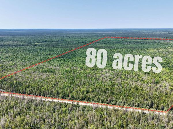 TBD E N Co Rd 415 Road, Columbus Twp, MI 49853