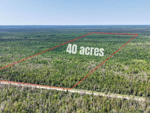 TBD E N Co Rd 415 Road, Columbus Twp, MI 49853