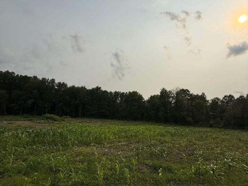 9714 Cable Line Road, Diamond, OH 44412 Photo 2