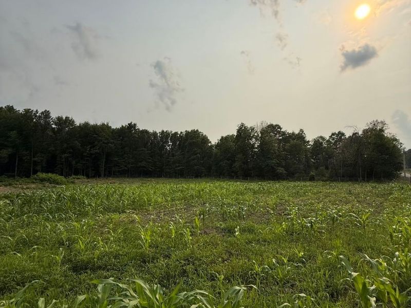 9714 Cable Line Road, Diamond, OH 44412 Photo 3