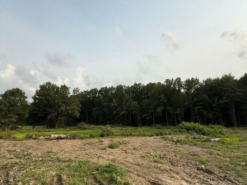 9714 Cable Line Road, Diamond, OH 44412 Photo 5