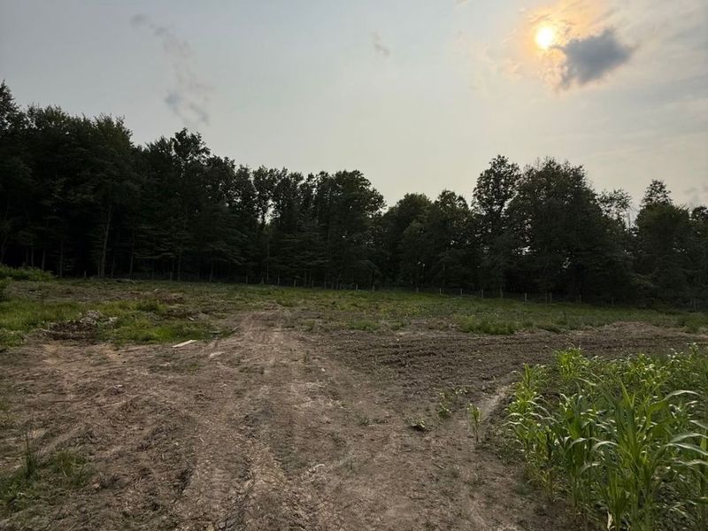 9714 Cable Line Road, Diamond, OH 44412 Photo 6