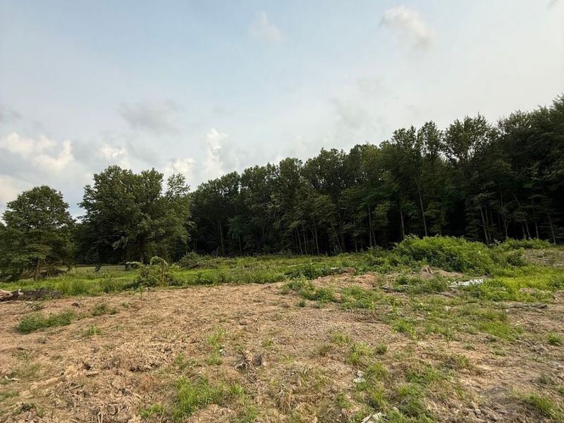 9714 Cable Line Road, Diamond, OH 44412 Photo 7