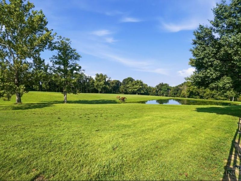 5856 Oregonia Road, Wayne Twp, OH 45054 Photo 46