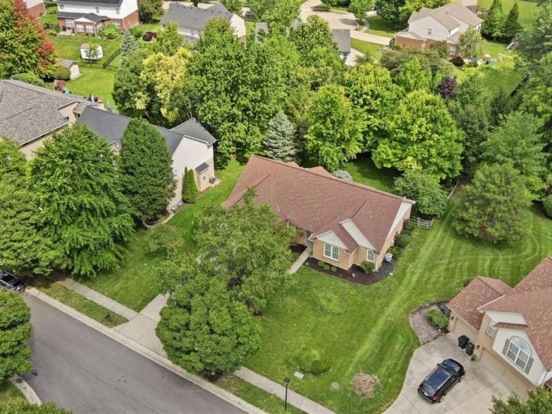 5620 Shagbark Court, Mason, OH 45040 Photo 3