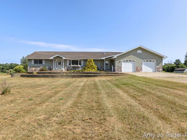 16972 W Stanton Road, Pierson, MI 49339