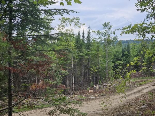 22-03 Rowell Mountain Road , Solon, ME 04979
