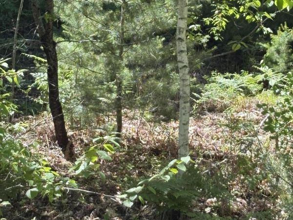 M11 Lot 02 Joseph Way , Waterboro, ME 04030
