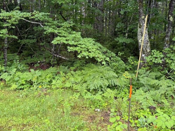 Lot 9B Whites Lane & Marquis Drive , Chesterville, ME 04938
