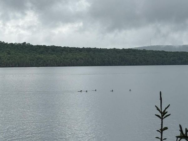 416 S Shore Road , Island Falls, ME 04747