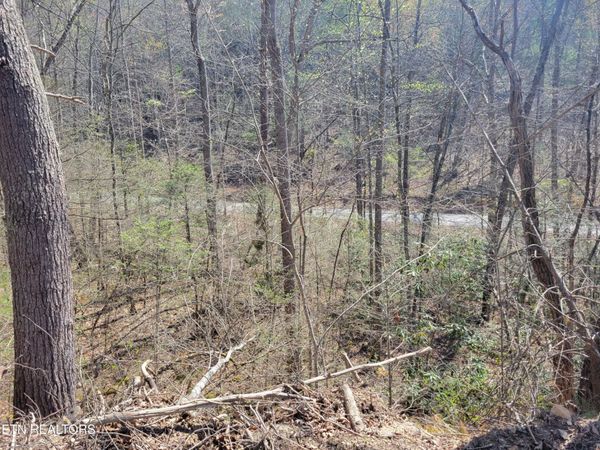25 Alpine Drive , Unit 25, Sevierville, TN 37876