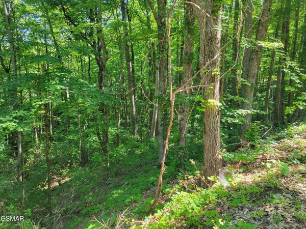 20 Sunset Drive , Unit 20, Sevierville, TN 37876